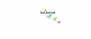 __Scentrel Ltd (CANDLE & FLY IMAGE) LOGO-page-001